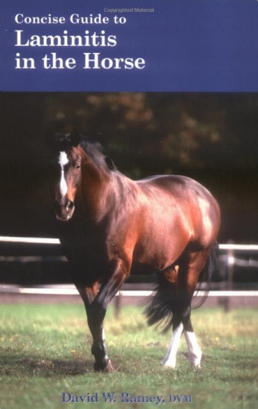 A Concise Guide to Laminitis in the Horse