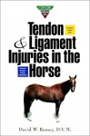 A Concise Guide to Tendon and Ligament Injuries in the Horse A Concise Guide to Tendon and Ligament Injuries in the Horse