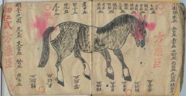 Veterinary Acupuncture History Veterinary Acupuncture History