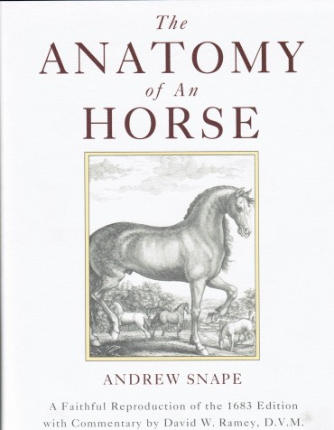 The Anatomy of An Horse The Anatomy of An Horse