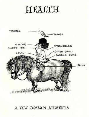 How To Decide When to Call Your Veterinarian How To Decide When to Call Your Veterinarian