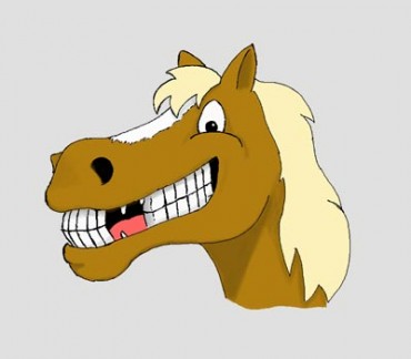 Horse Emotions Horse Emotions