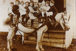 horse_w_lots_of_kids horse_w_lots_of_kids