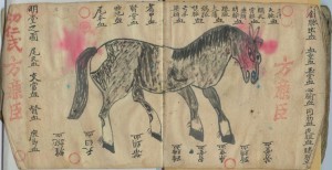 Horse - Chinese Manuscript