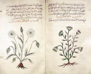 herbal_medicine_guidebook.arabic