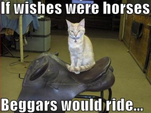 Ifwisheswerehorses