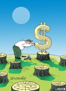 value_of_the_forest__arcadio_esquivel