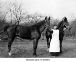 horse-nurse