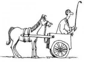 cart-before-horse-2