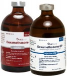 dexamethasone