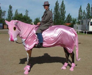 pink-panther-horse