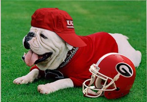 uga1