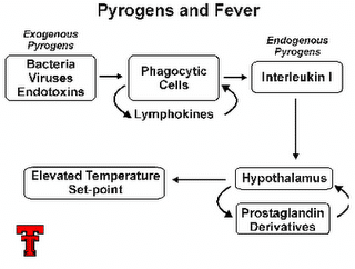 pyrogens n fever