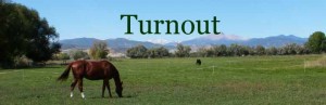 Turnout