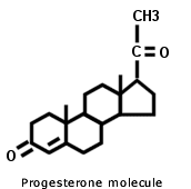 progesterone-mol