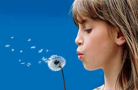 hay-fever-injection1