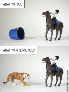 Horse.Vision.1