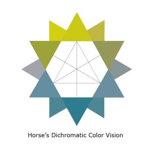 Horses-Dichromatic-Color-Vision