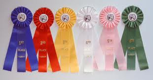 Show-ribbons.jpg