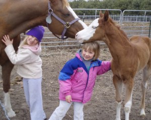 kids-and-horses