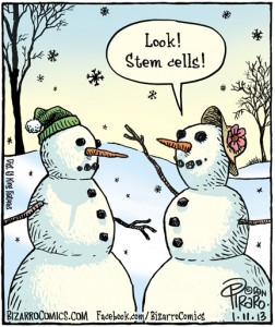 StemCell.cartoon.4