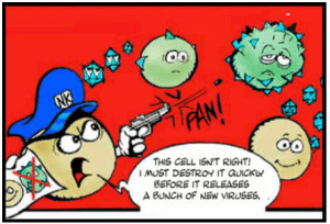 Immunology.Cartoon