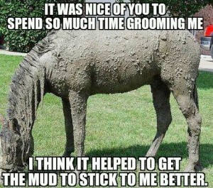 muddy horse
