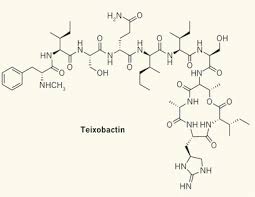 Teixobactin