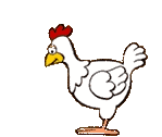 chicken.cartoon