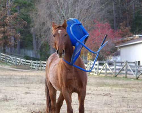 Horse-and-chair.png