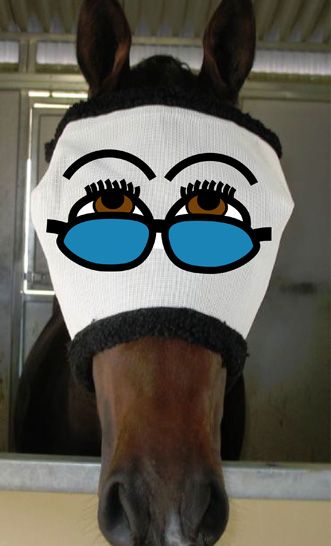 Fly-mask.jpg