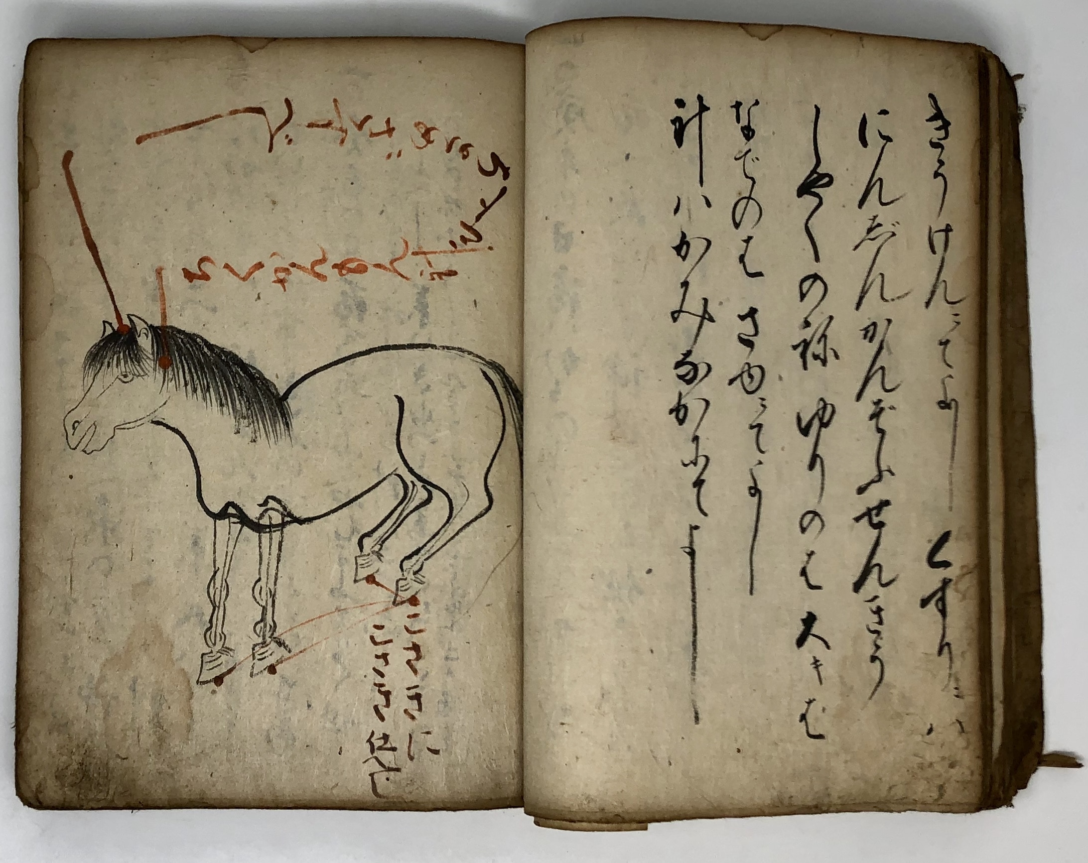 Japanese.Manuscript.7.jpg